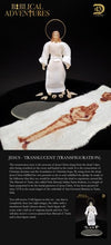 Load image into Gallery viewer, D13 - Biblical Adventures - Jesus Christ Translucent (Transfiguration)